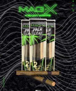 Mag-X Palm Leaf 2ct Palma Cones